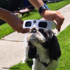 Getting ready for the solar eclipse
